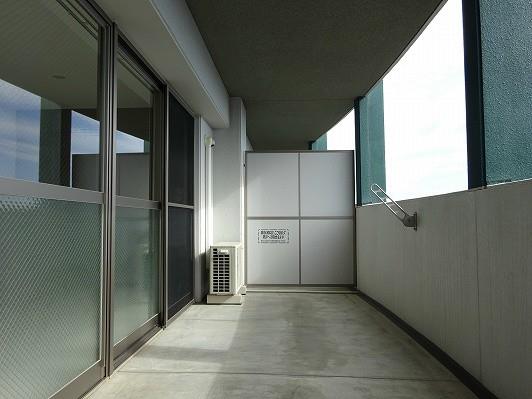 ソフィアンズ エルヴィ その他6