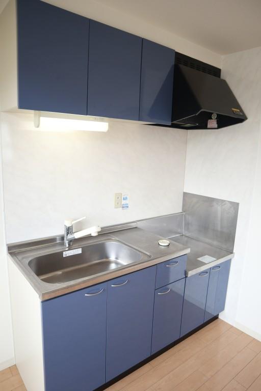 サクシード胤 キッチン