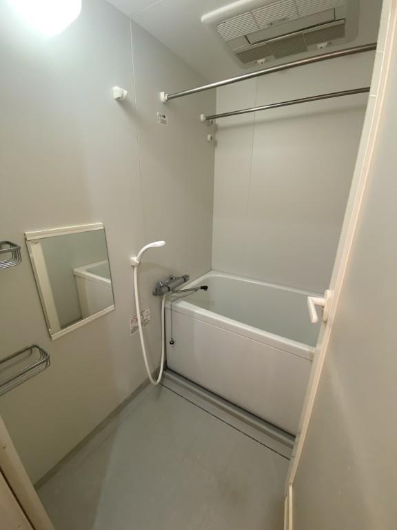 &#12505;&#12523;&#12487;&#12517;&#12540;&#12523;&#26963; &#39080;&#21570;&#30011;&#20687;