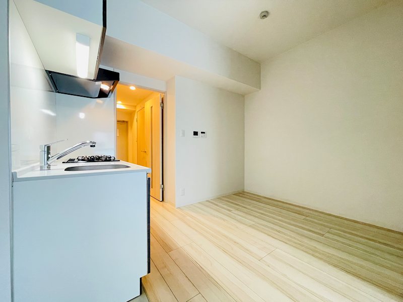 AMOUR HONATSUGI その他11