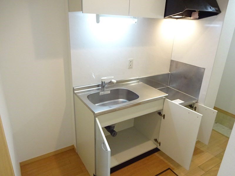 &#12489;&#12523;&#12501;&#12495;&#12452;&#12512;&#28165;&#31119;&#23546; &#12461;&#12483;&#12481;&#12531;