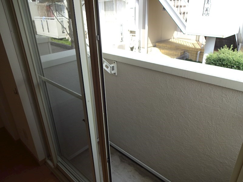 &#12489;&#12523;&#12501;&#12495;&#12452;&#12512;&#28165;&#31119;&#23546; &#12505;&#12521;&#12531;&#12480;