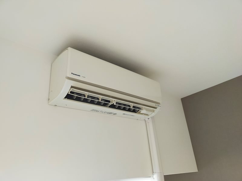 グレースエビス その他2