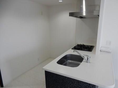 ラフィーネレジデンス その他15