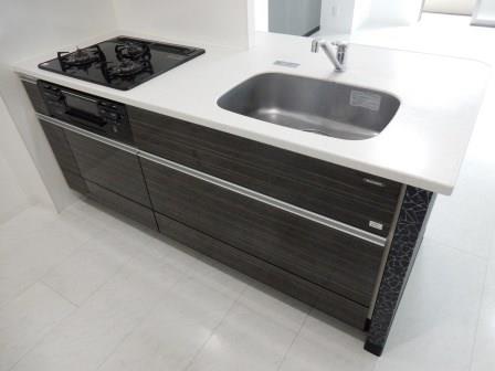 ラフィーネレジデンス その他16