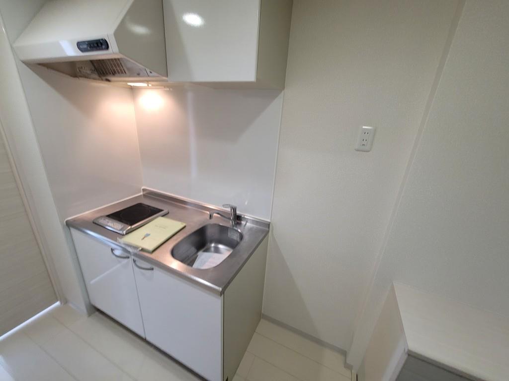 ミリアビタNo.21 その他1