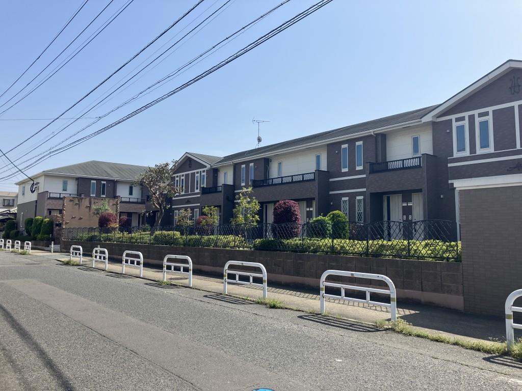 キャンペーン用