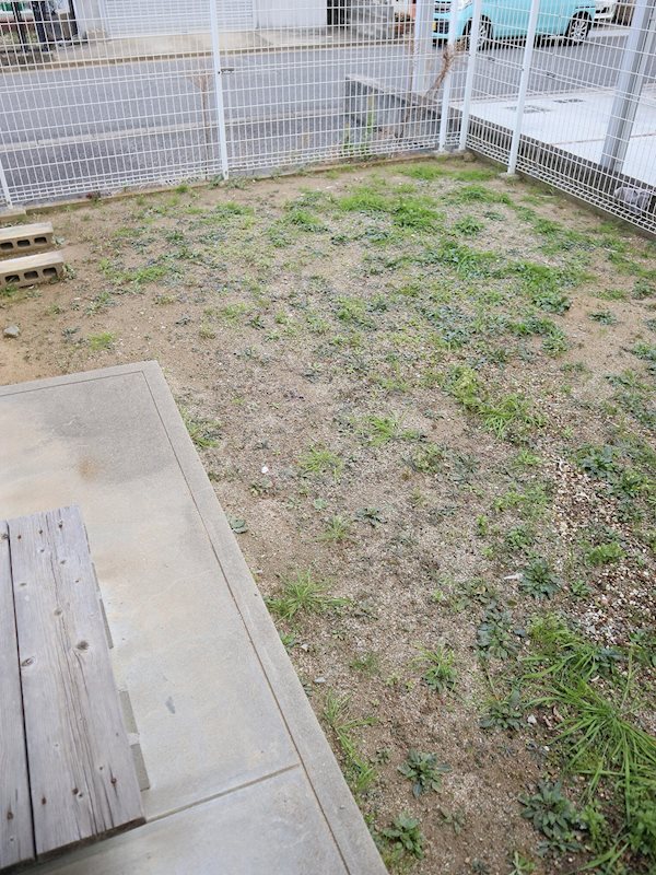 &#12469;&#12531;&#12486;&#12523;&#12494; &#12381;&#12398;&#20182;18