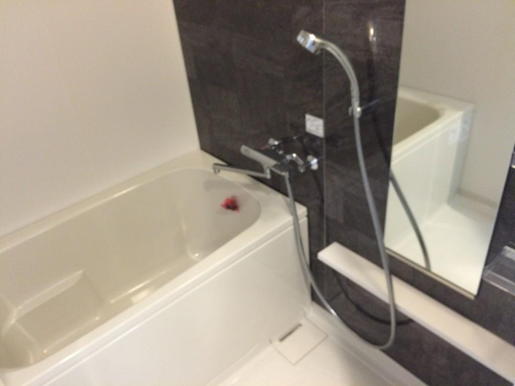 パインリッチ 風呂画像