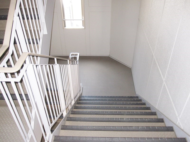 &#12510;&#12540;&#12505;&#12521;&#12473;&#12467;&#12540;&#12488; &#12381;&#12398;&#20182;&#22806;&#35251;1