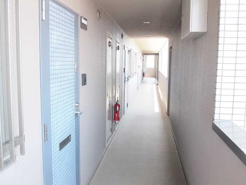 &#12510;&#12540;&#12505;&#12521;&#12473;&#12467;&#12540;&#12488; &#12381;&#12398;&#20182;11