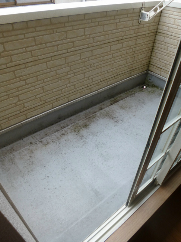 &#65426;&#65407;&#65438;&#65437;&#65431;&#65420;&#65384;&#65392;&#65416; &#12505;&#12521;&#12531;&#12480;