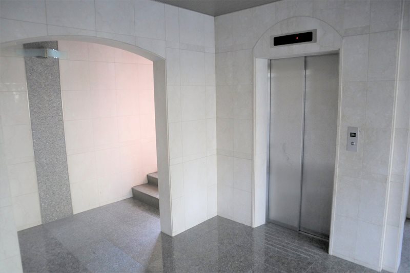 コスモス・ミソノ その他4