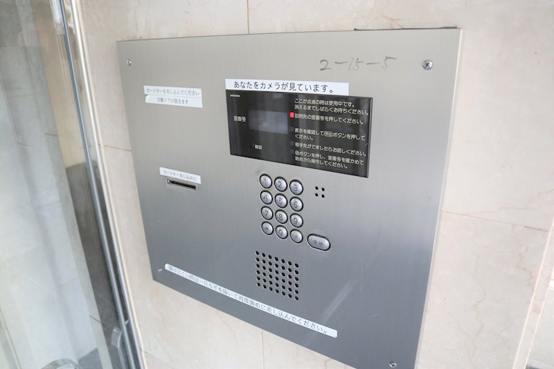 コスモス・ミソノ その他5