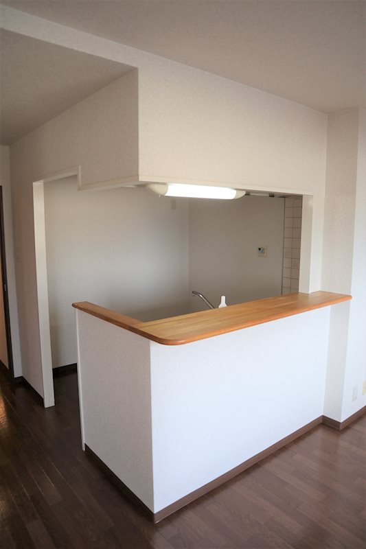 コスモス・ミソノ その他8