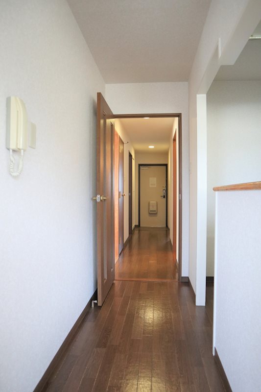 コスモス・ミソノ その他19