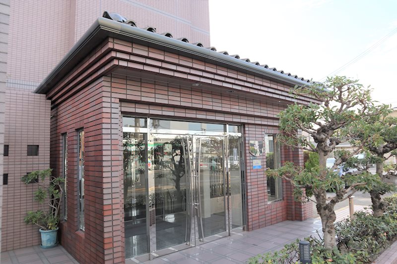 コスモス・ミソノ その他24