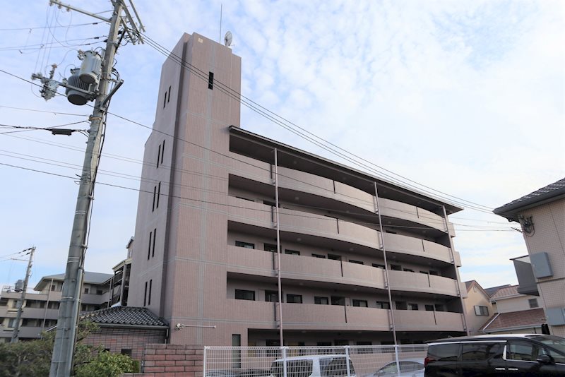 コスモス・ミソノ その他27