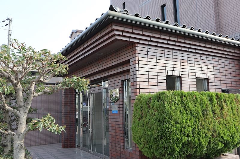 コスモス・ミソノ その他1