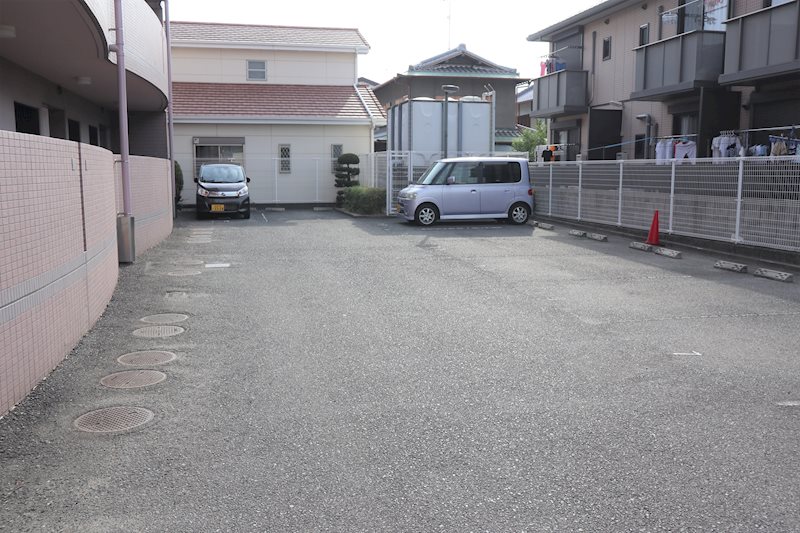 コスモス・ミソノ その他2