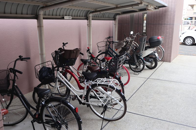 コスモス・ミソノ その他3