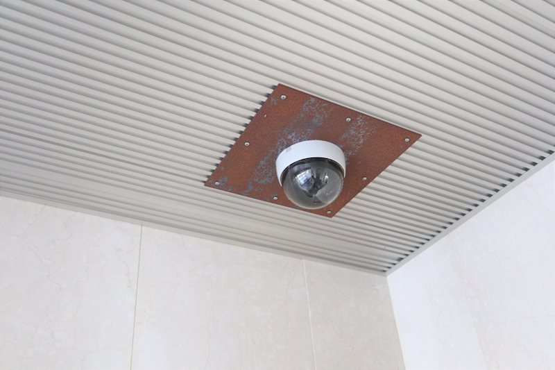 コスモス・ミソノ その他22