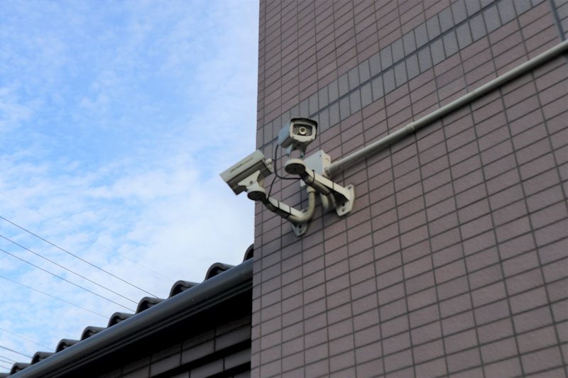 コスモス・ミソノ その他25