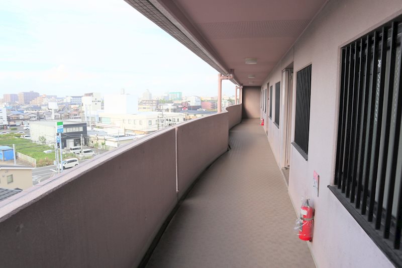 コスモス・ミソノ その他26