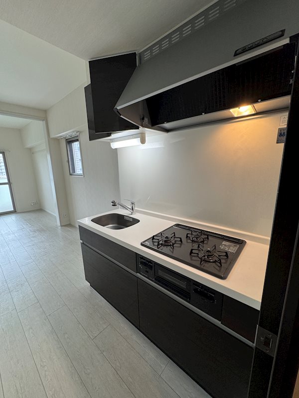 ラルシェパルク新大阪 キッチン