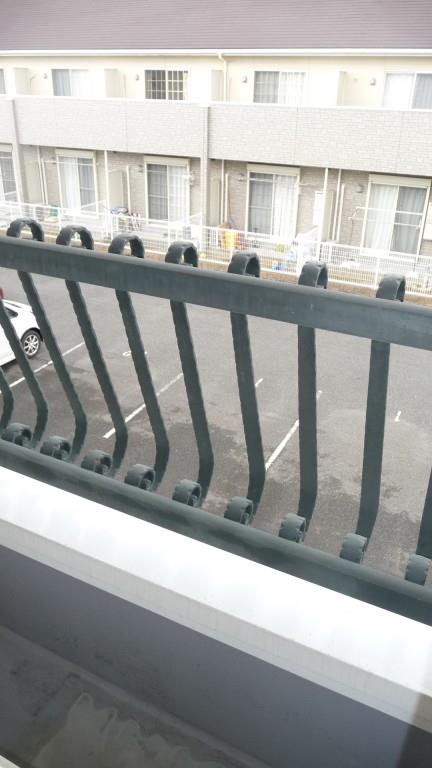 ウィステリア 菜花 その他7