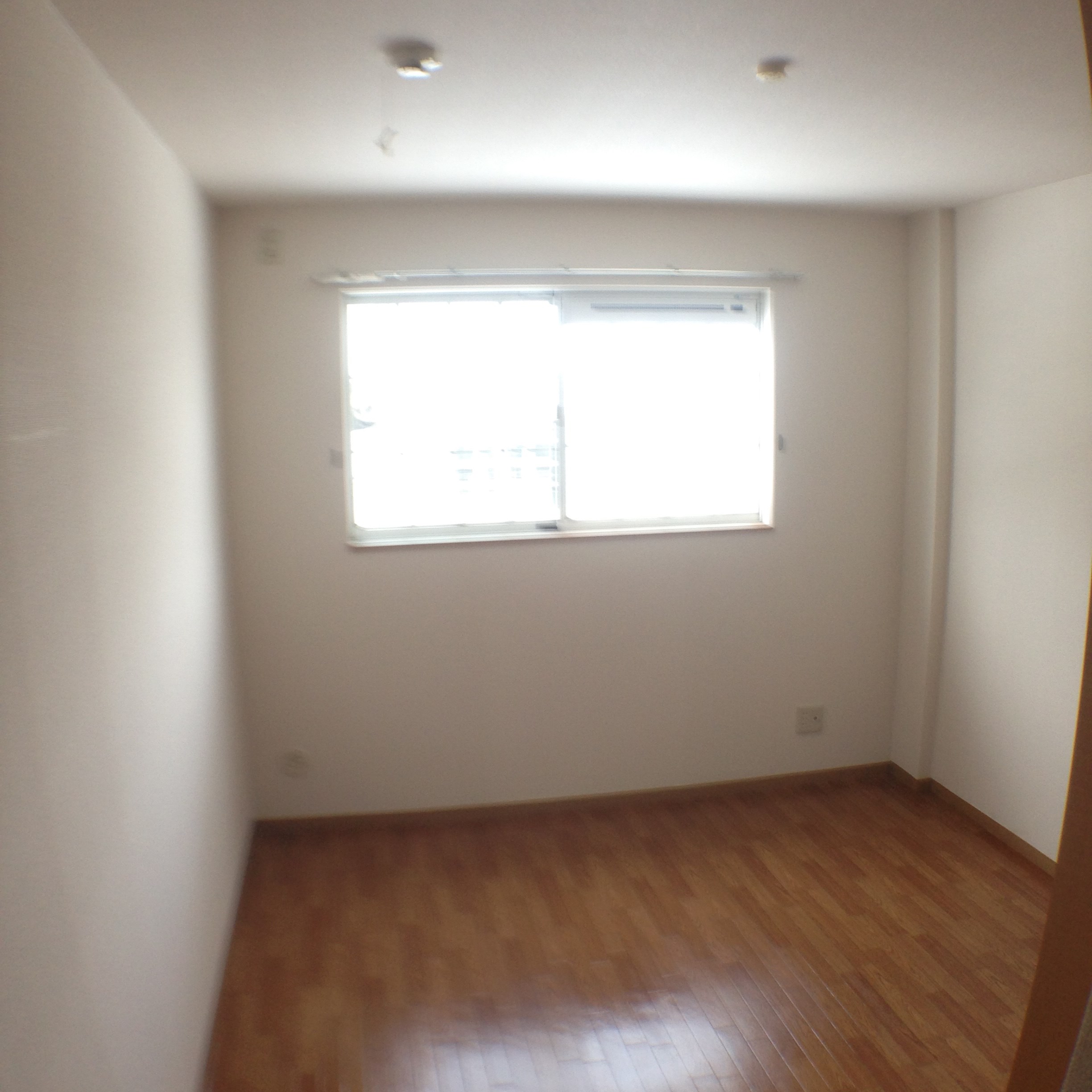 リーベン絹 その他4