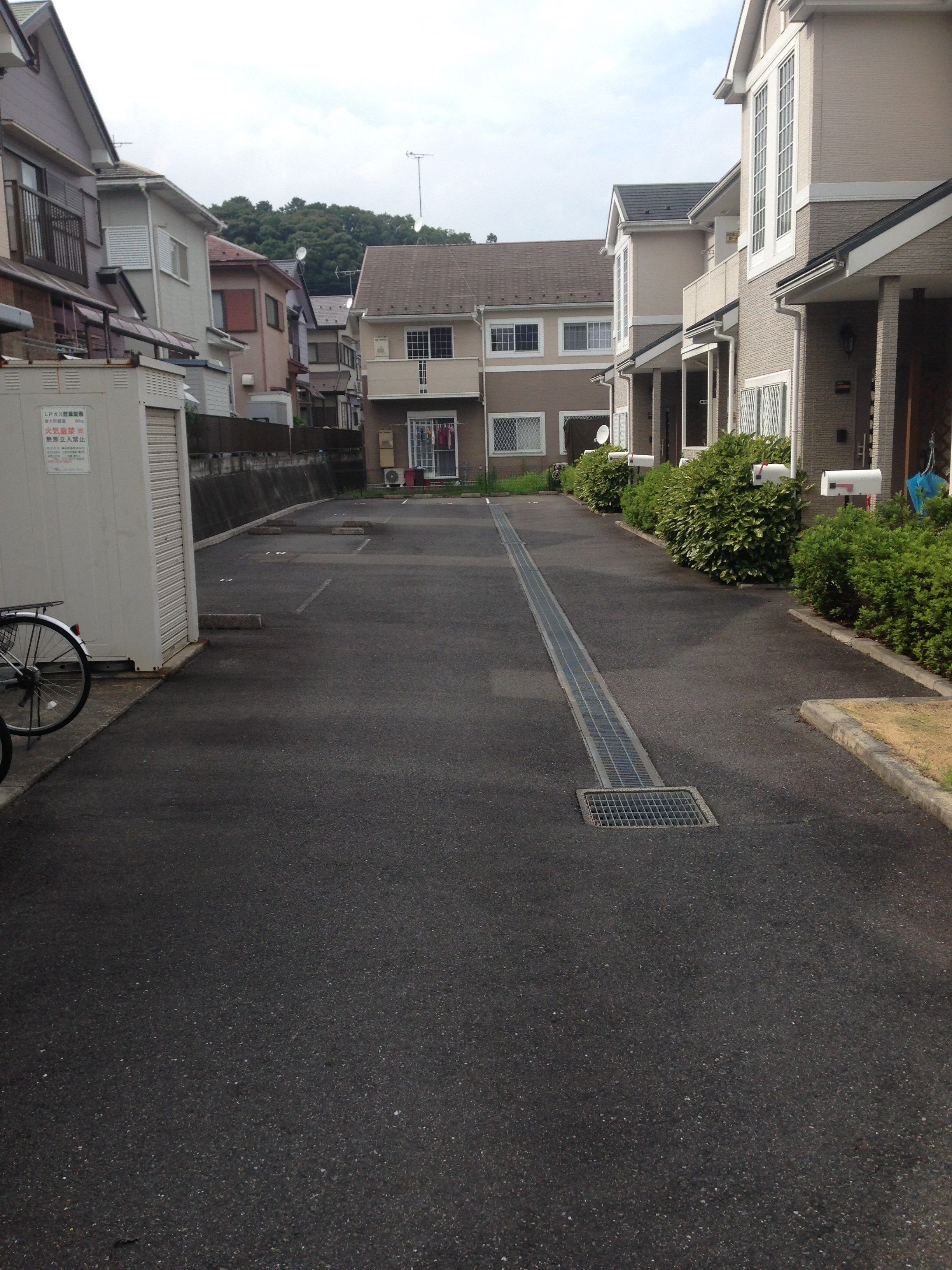 リーベン絹 その他外観1