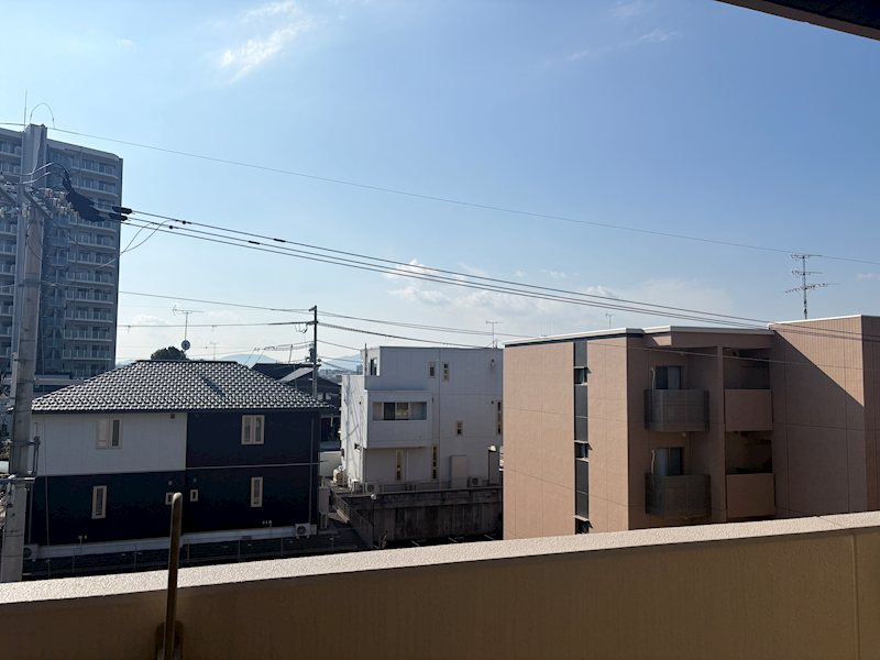 チャム その他5