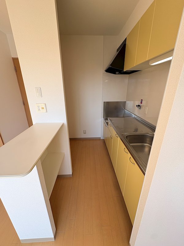 チャム その他13