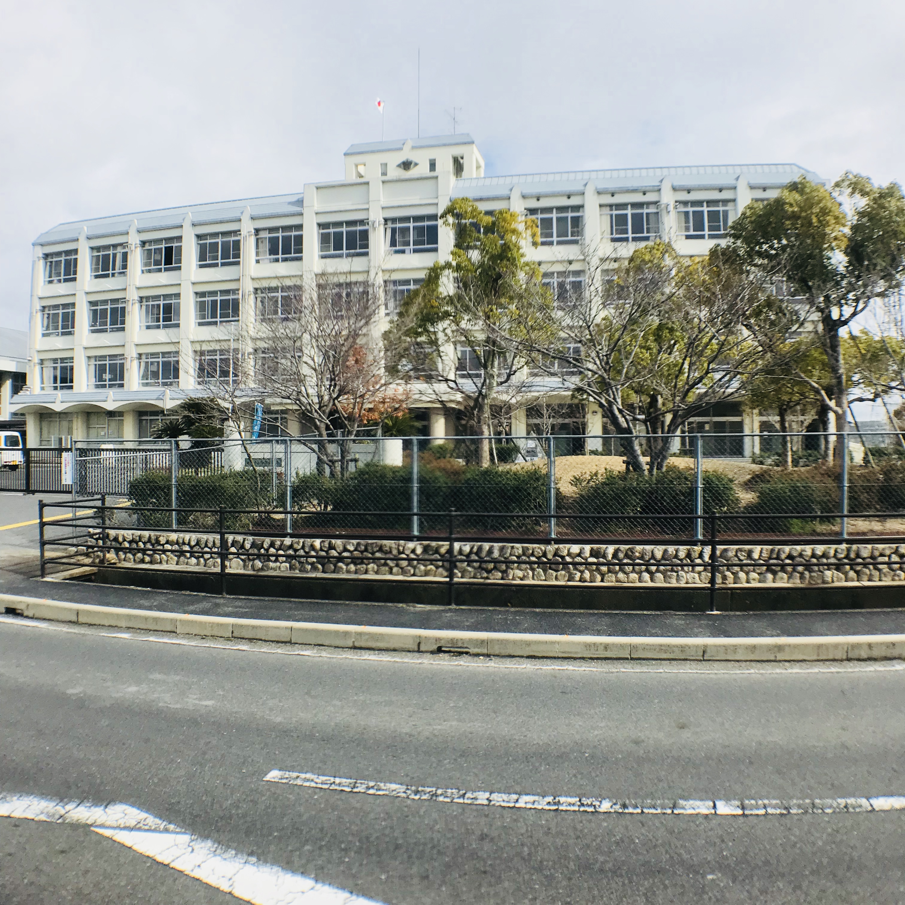 ダンデライオン 小学校