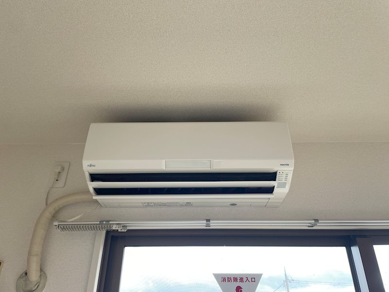 ダンデライオン その他4