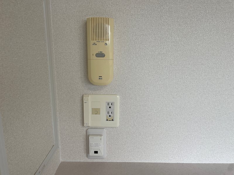 ダンデライオン その他5