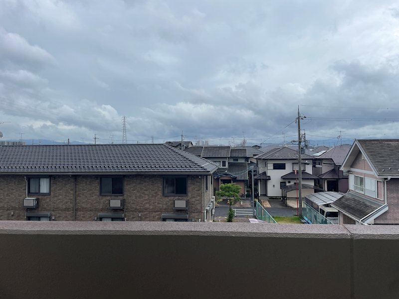 ダンデライオン その他6