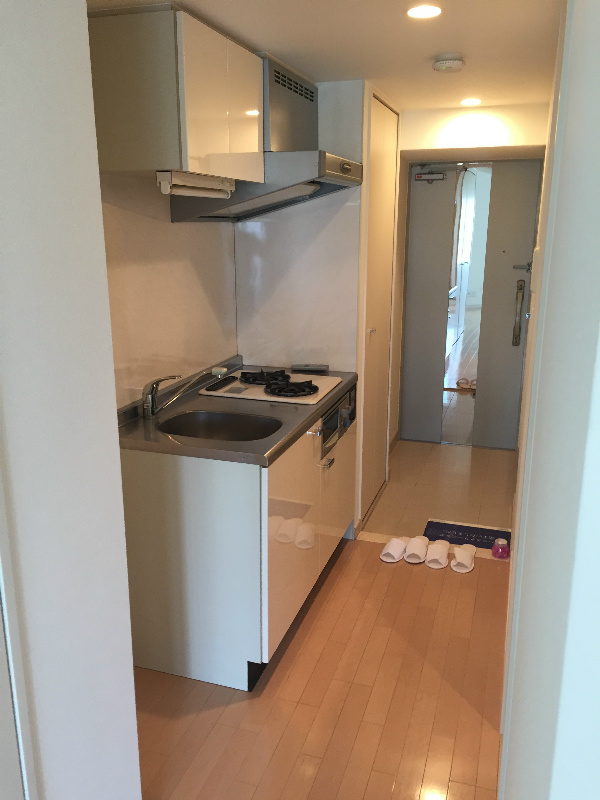 セイワパレス 京橋コルティーレ その他8