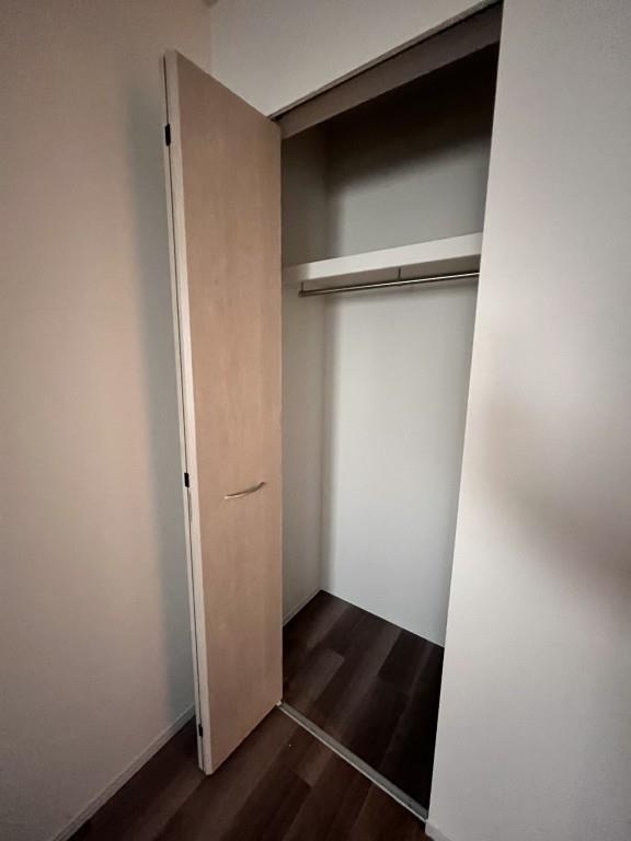 Theios son(テイオス サン) その他16