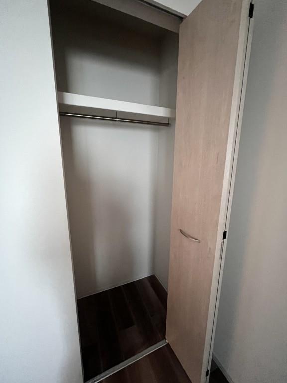 Theios son(テイオス サン) その他15