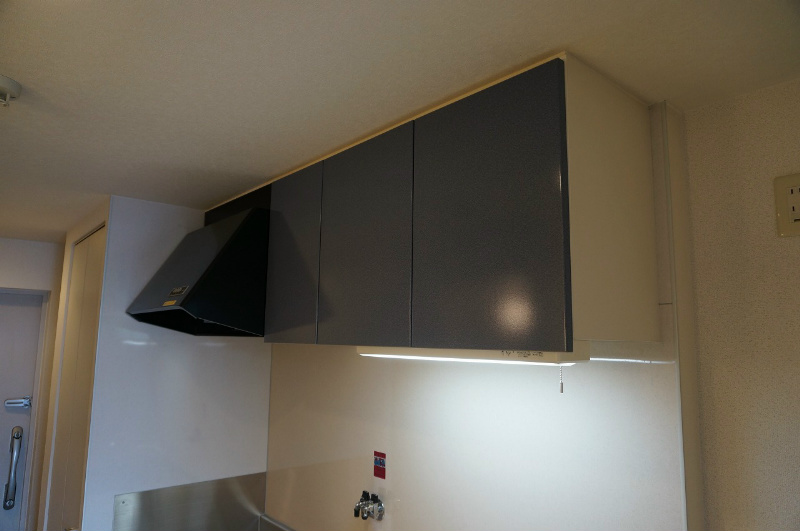 ヴィレイア１０１ その他16