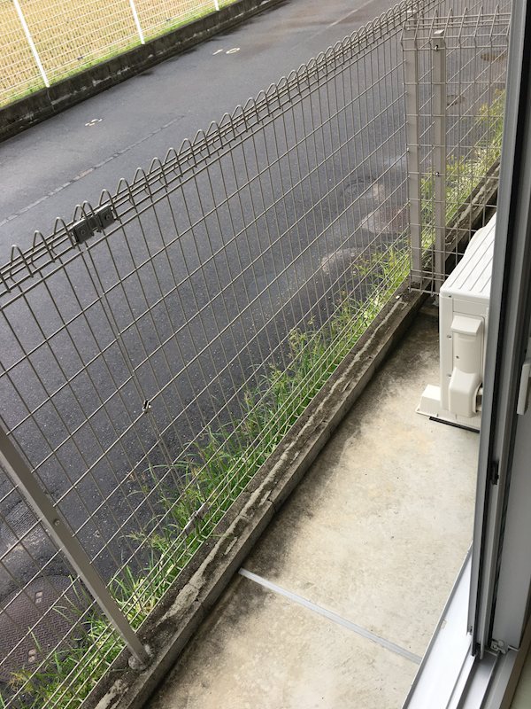 エフティ グラン ベランダ