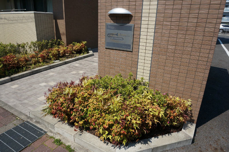 ヴィヴァーチェ その他外観3