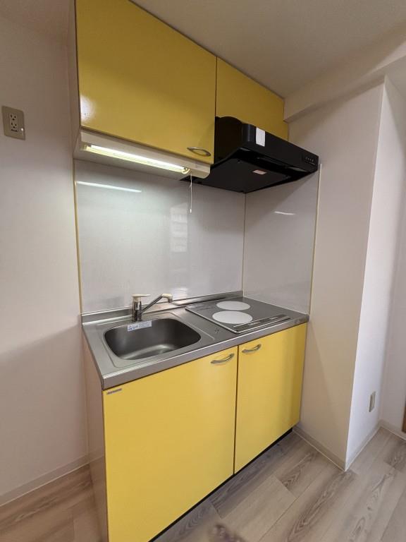 ラ・ルーシュ泉 キッチン