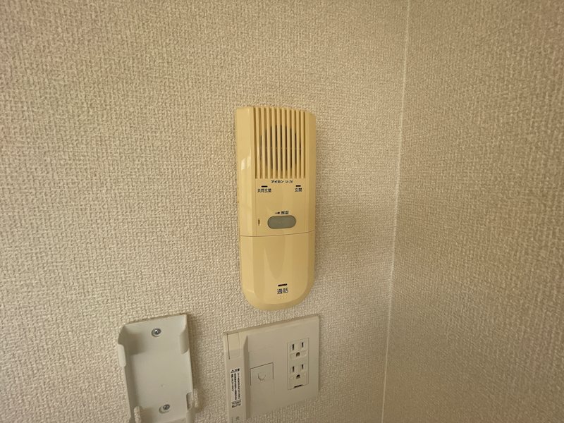 ダンデライオン その他4