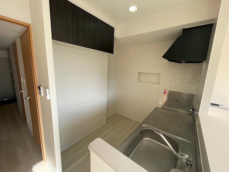 ダンデライオン その他7