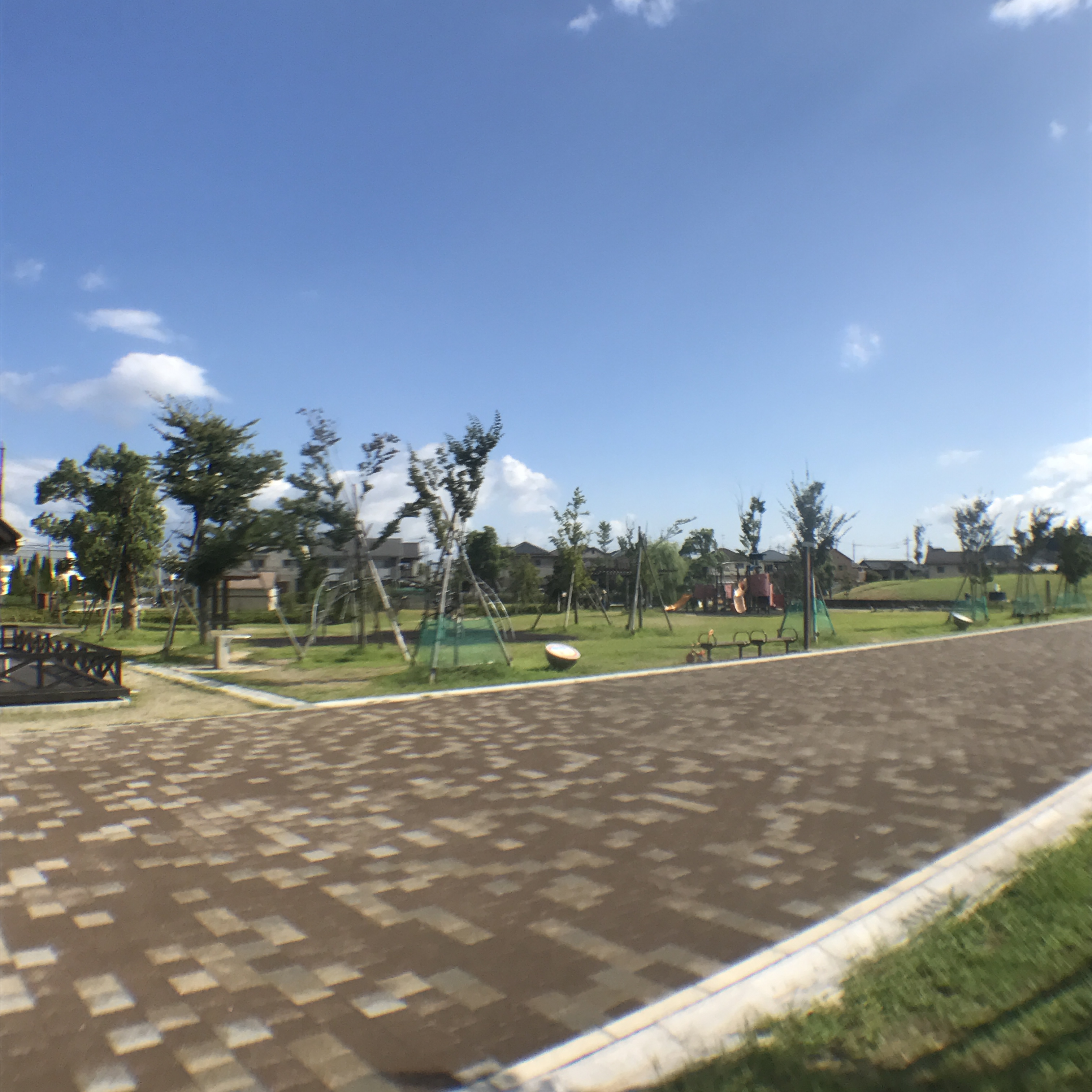 カーサ・ヴィヴァーチェ 周辺画像6