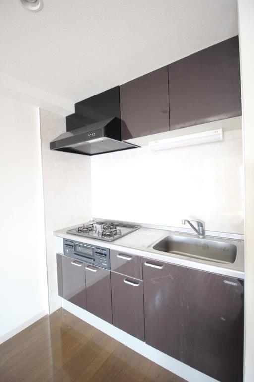 グレイスフルリッチ その他5