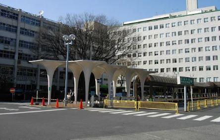 アファン大山 周辺画像6